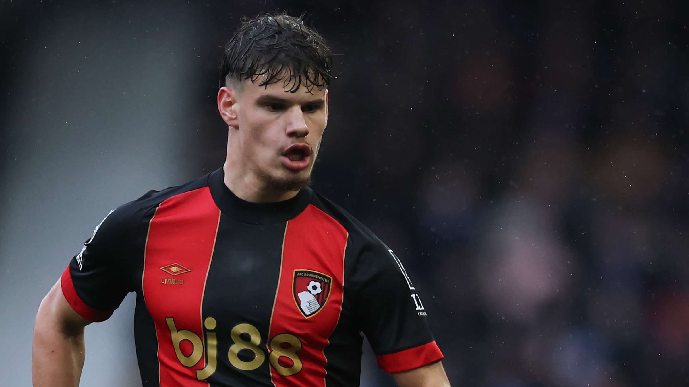 这颗新星的 这颗新星的