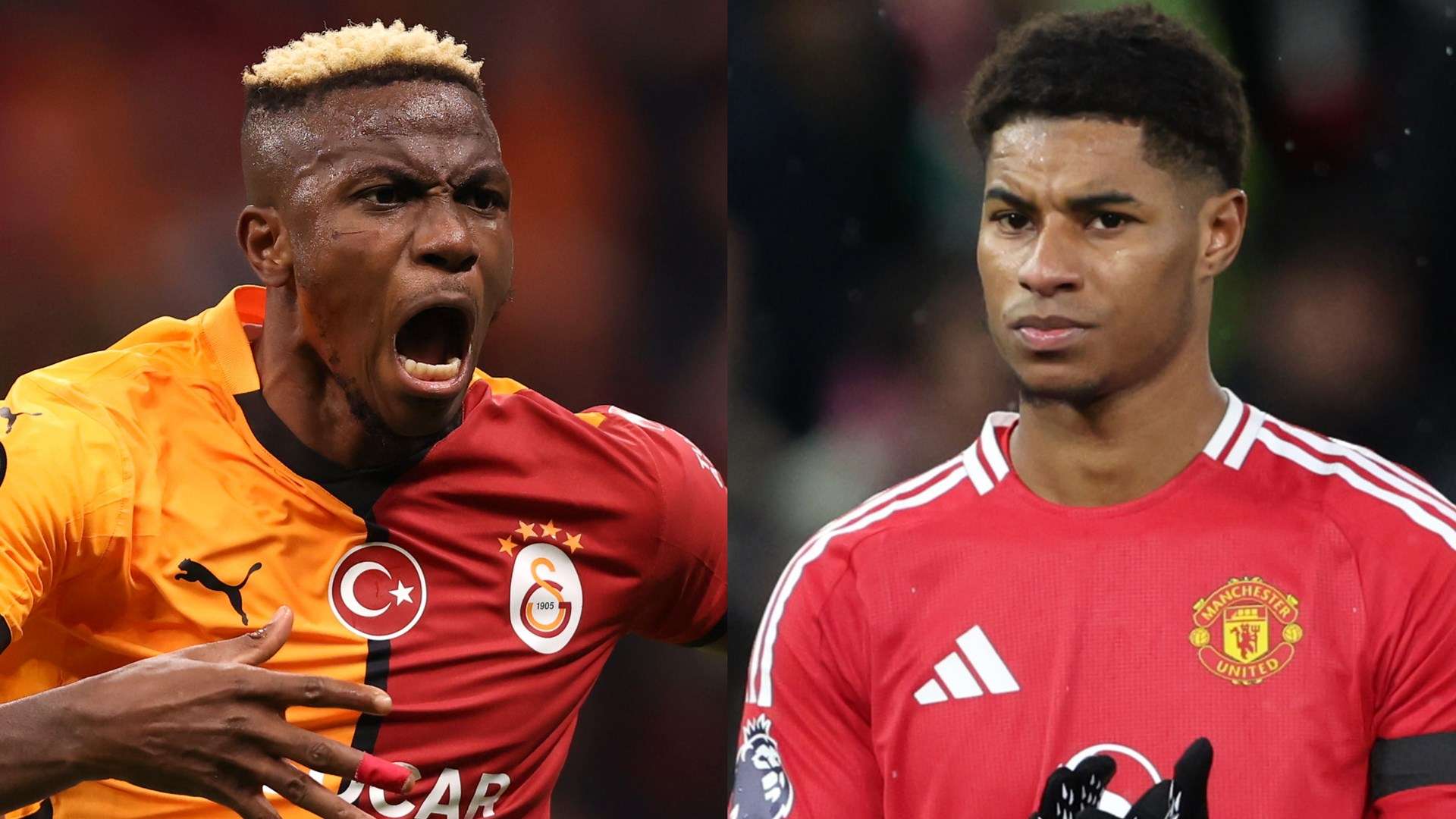 雯雯在赛场 雯雯在赛场