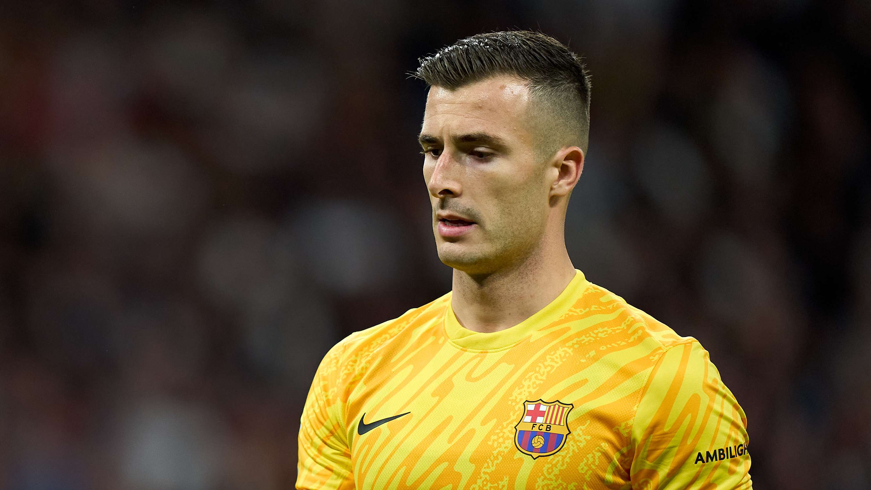 术定型和身 术定型和身